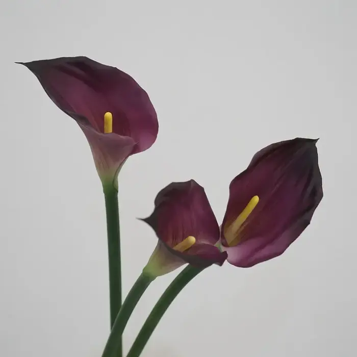 12 pièces Faux Latex Calla Lily fleurs artificielles Bouquet de mariage vraie touche Callas chambre maison décorative fête fleur accessoires