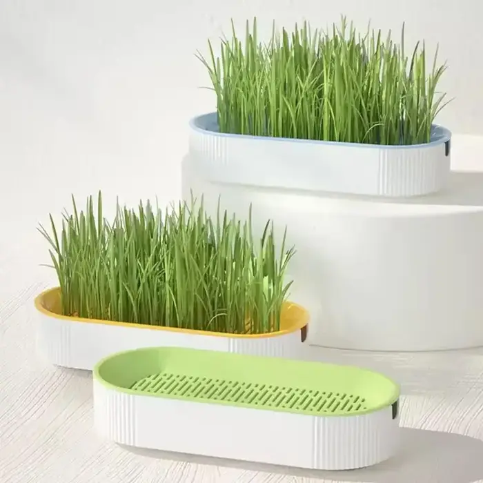 Pot de herbe hydroponique sans terre pour chat