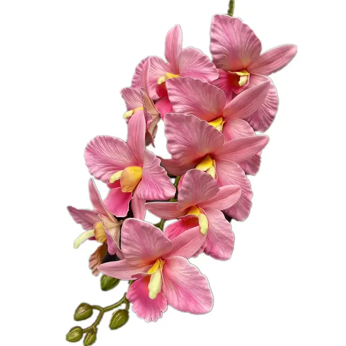 Une plante de fleur de Catland artificielle
