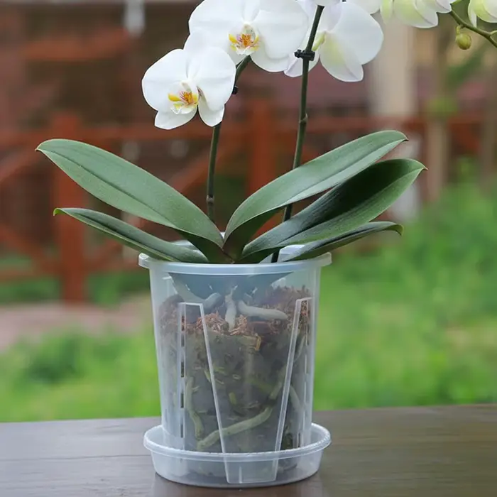 1 pot à orchidées respirant avec fentes de ventilation