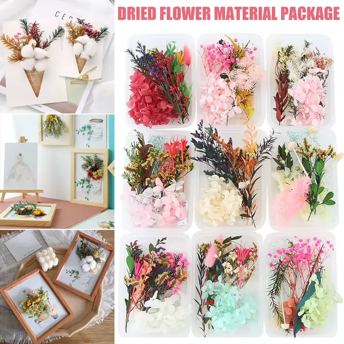 Ensemble de feuilles de fleurs séchées véritables