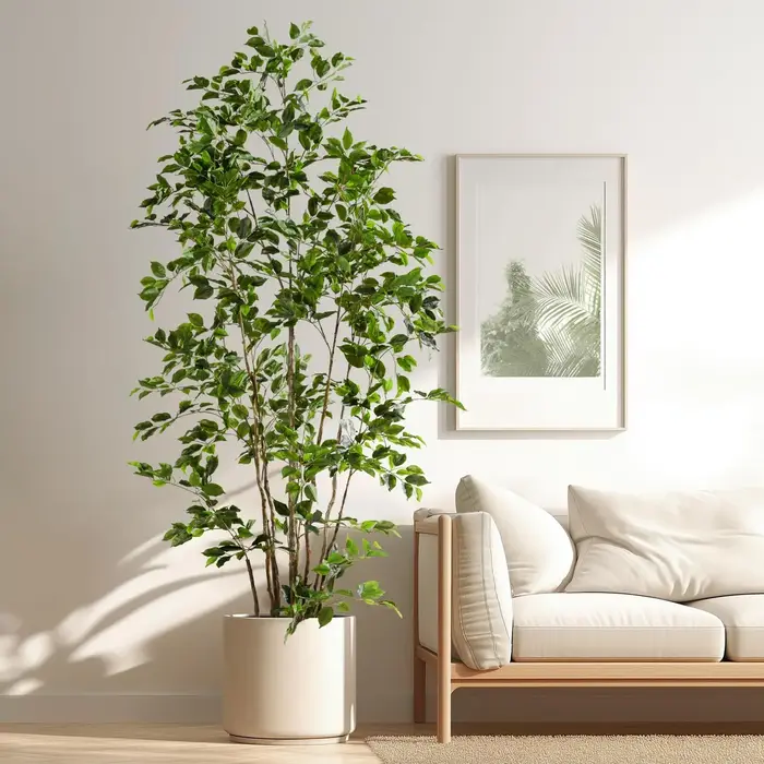 Ficus artificiel à faible entretien - Profitez d'une beauté persistante toute l'année