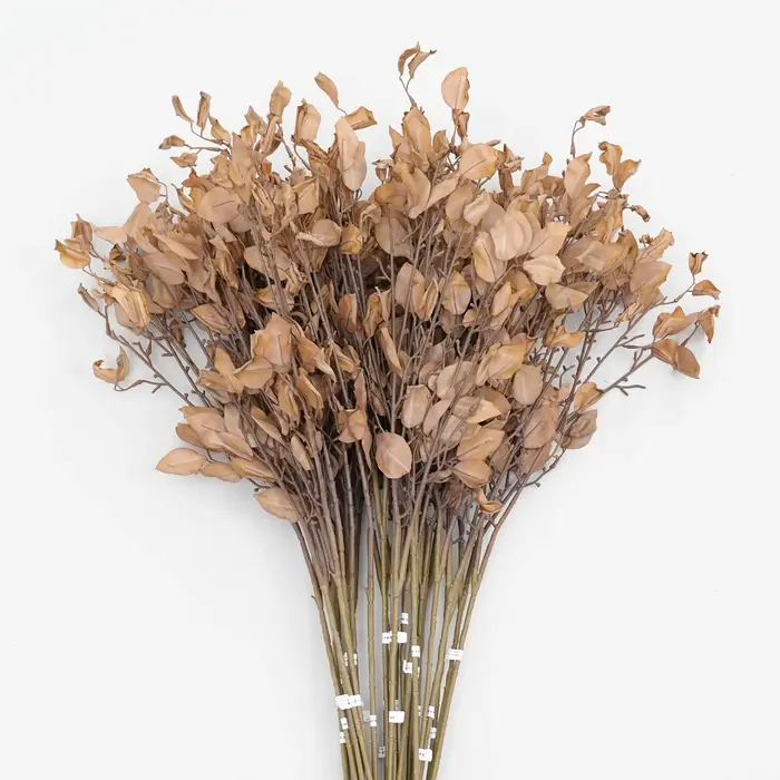 Feuilles artificielles HMEOT H2024, plantes, gingembre, branches d'automne, décoration de la maison, accessoires de bricolage pour le jardin, matériaux pour arrangements floraux