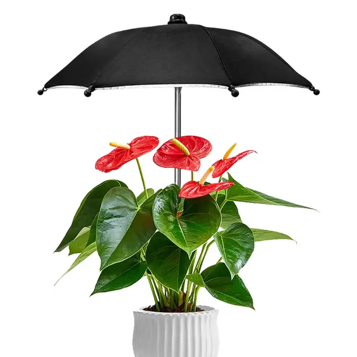 Parasol de protection UV pour plantes