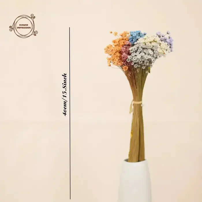 Petite étoile naturelle marguerite fleurs séchées décor de mariage