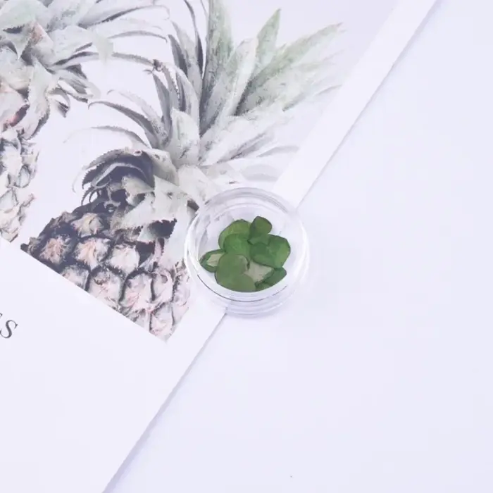 Ensemble de petites fleurs séchées Spirea pour décorations Nail Art