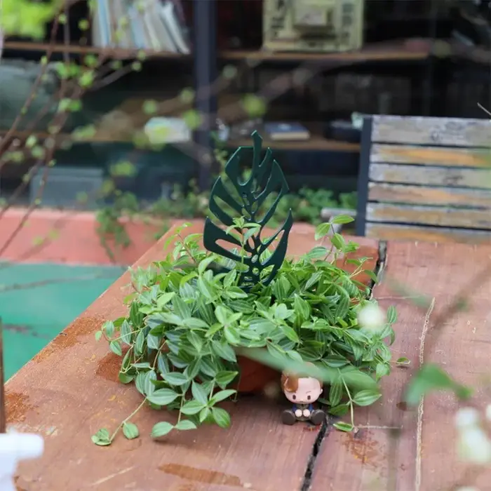 Support d'escalade pour plantes