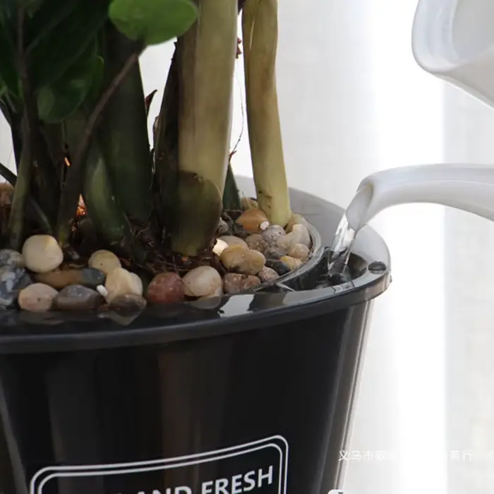 Pot de fleur à absorption d'eau automatique