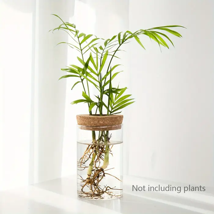 1pc, Vase de jardinière en verre de bureau pour plantes hydroponiques pour la décoration de la maiso