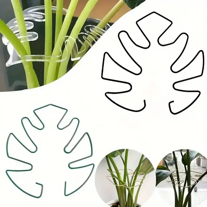 Piquets pour plantes Monstera