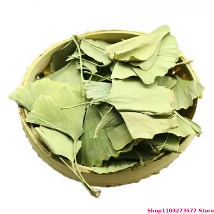 Feuilles de Ginkgo Biloba séchées de qualité supérieure pour la beauté