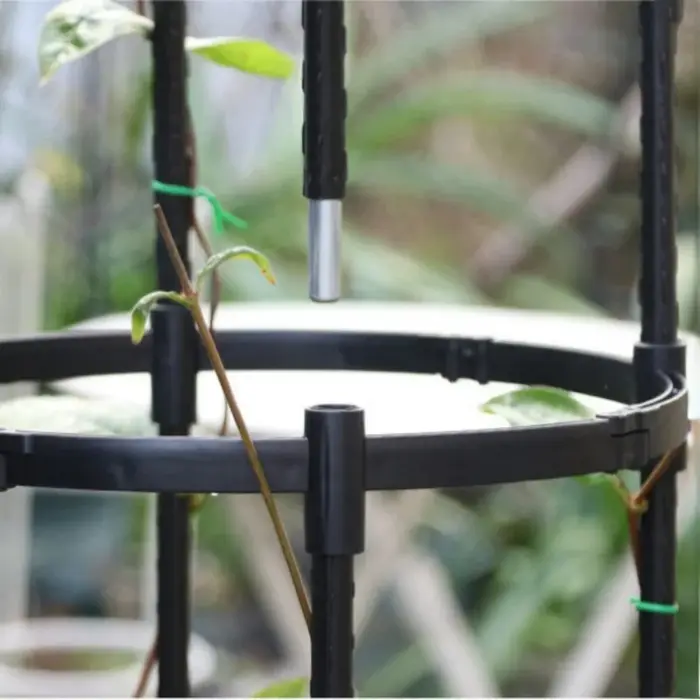 Cadre de Support pour Plantes Grimpantes en Treillis