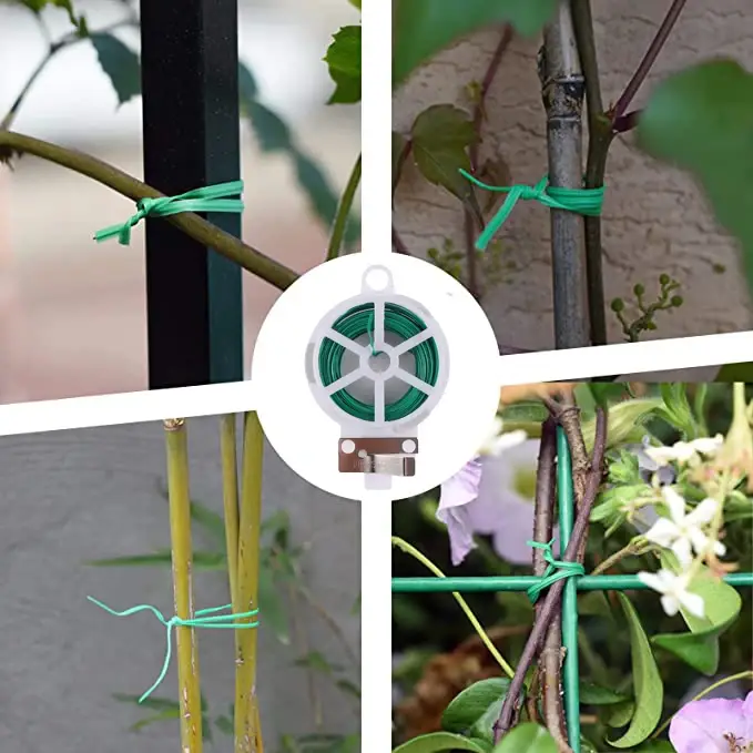 Plante de jardin grimpante avec clip