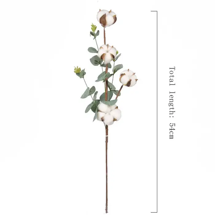 Fleurs de coton séchées naturellement