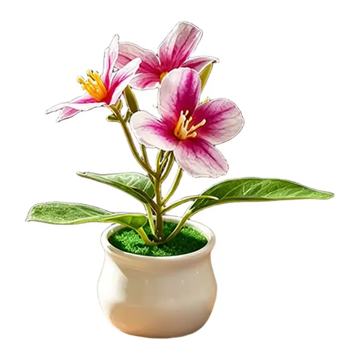 Plante d'orchidée compacte en pot pour usage intérieur et extérieur