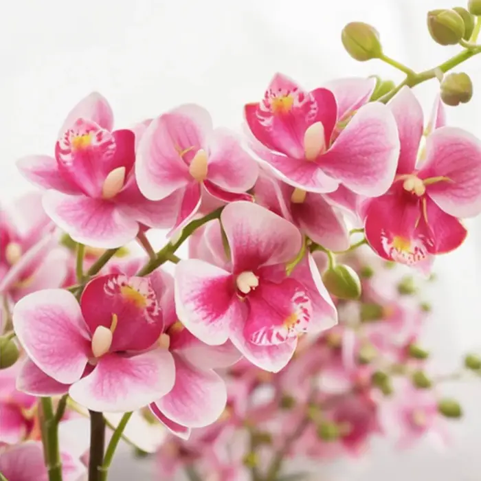 Fleurs d'orchidées artificielles, fausses orchidées Phalaenopsis en pot pour la décoration intérieure, mariage, bureau, centre de table, arrangements