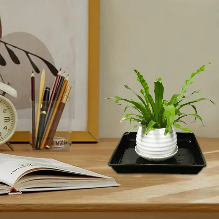 2 pièces de soucoupes carrées pour plantes de 35 cm