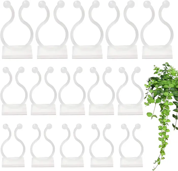 Clips muraux pour plantes grimpantes, fixation à crochet à boucle de vigne, fixation attachée, croch