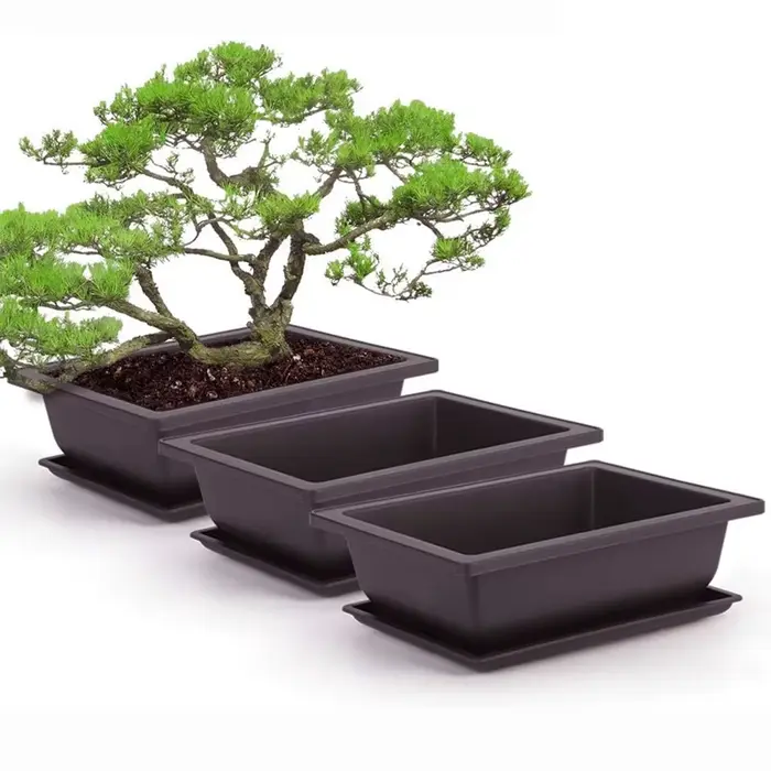 Pots à Bonsaï Rectangulaires pour Plantes Grasses