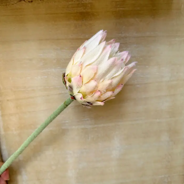 1 pièces 63cm artificiel haut de gamme unique nordique flocage artichaut fleur décoration de la maison accessoires de photographie de mariage