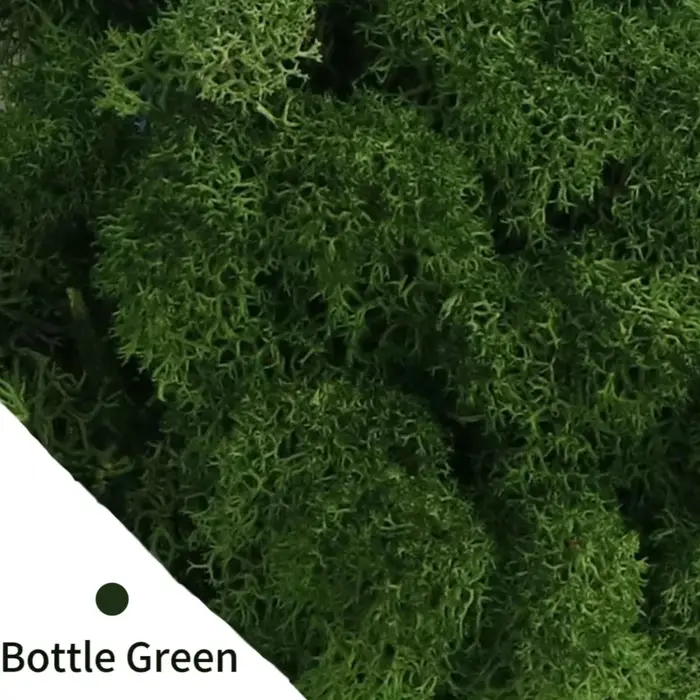 Plantes vertes artificielles, mousse de vie éternelle, bricolage, pour la maison, salon, décor de ja