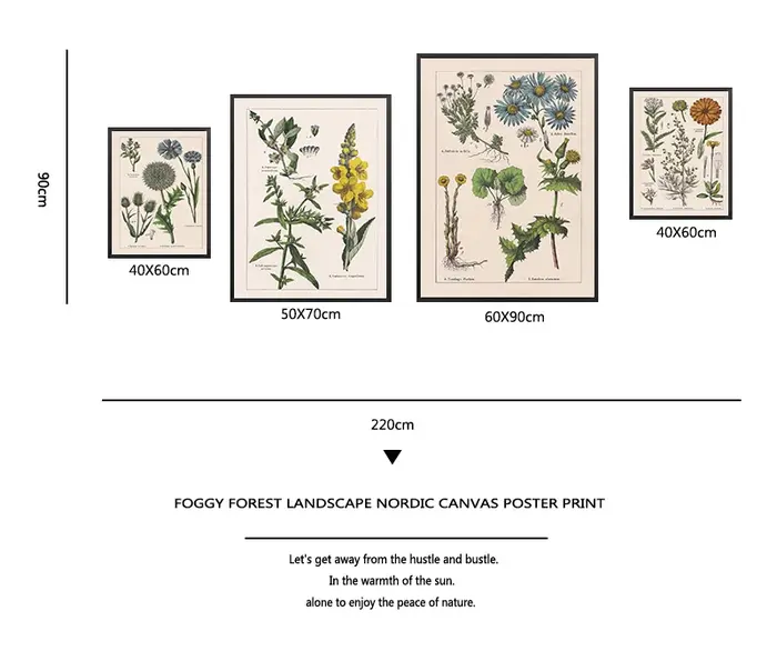 Affiches et impressions d'herbes botArabes vintage