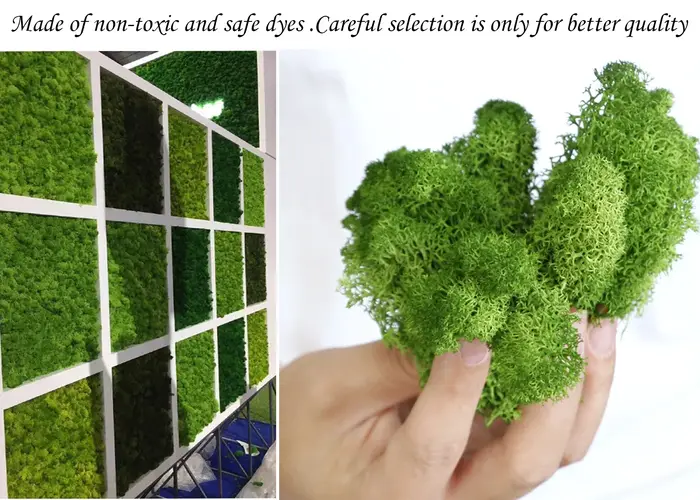 Mousse artificielle pour plantes en pot