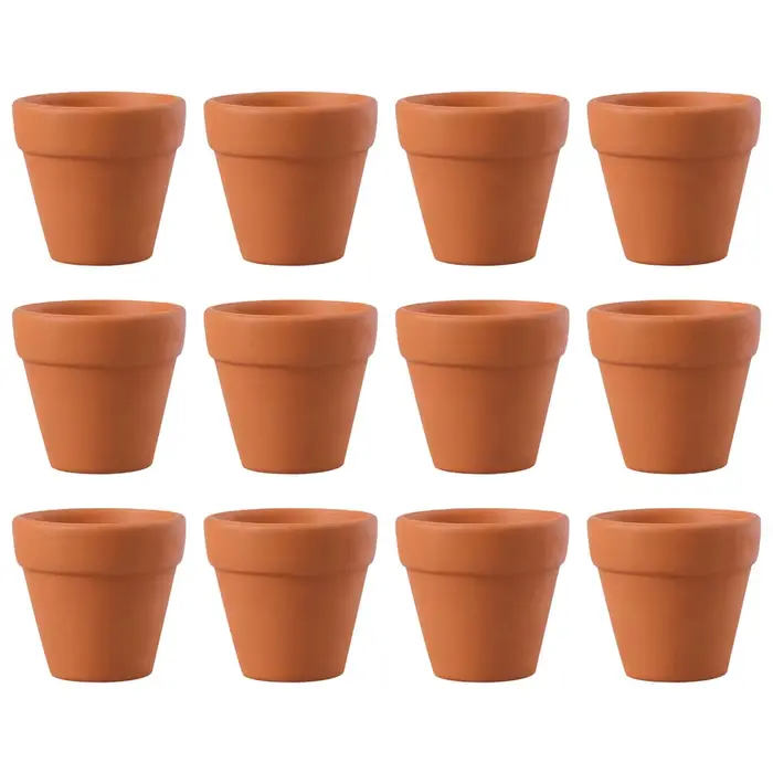 12 pots de plantes en terre cuite