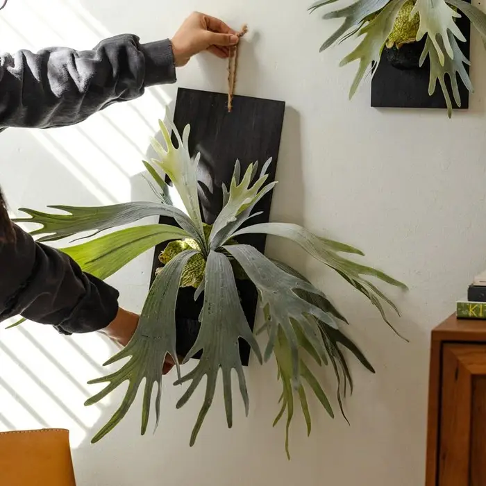 Plante tropicale artificielle tenture murale décoration bois de cerf fougère