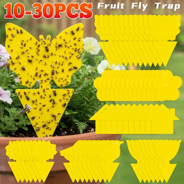 Pièges à insectes collants jaunes double face (10-30 pièces) pour plantes d'intérieur
