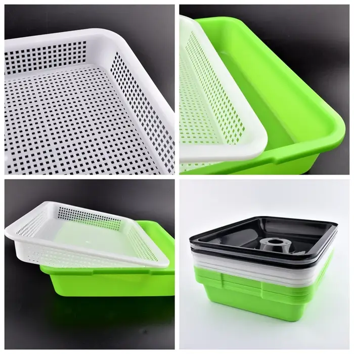 Plats à germer avec couvercle pour plantes à domicile