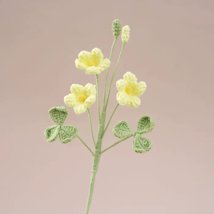 Bouquet au Crochet Oxalis mignon