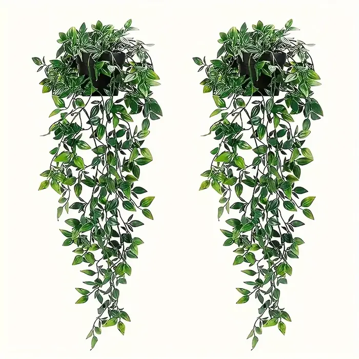 2 plantes suspendues Mandala vertes pour décoration intérieure et extérieure, salon, jardin, maison,
