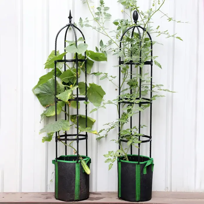 Cadre de Support pour Plantes Grimpantes en Treillis