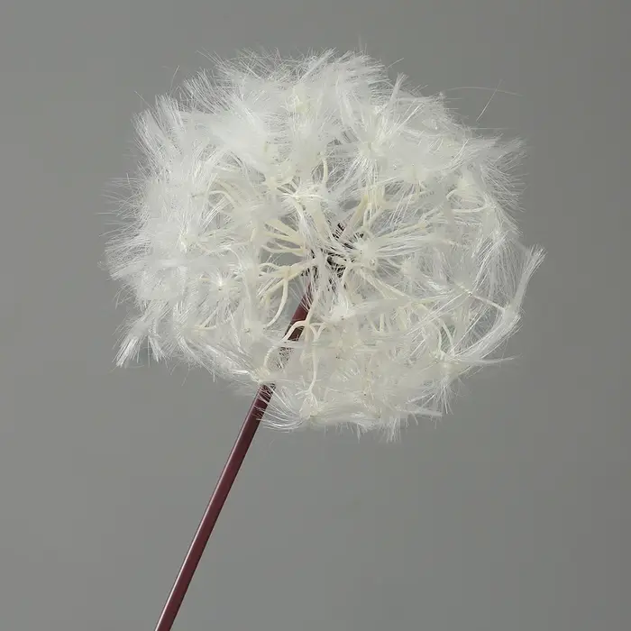 Bouquet de Pissenlits Blancs Artificiels