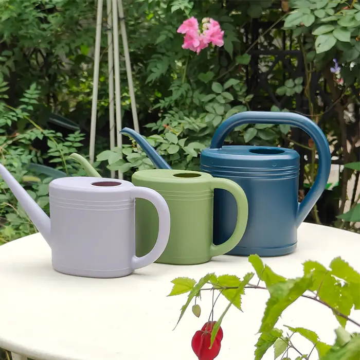 Arrosoir à bec Long 1L/2L, bouilloire d'arrosage pour jardin, balcon, Patio, plantes à fleurs, légumes, bonsaï, outil de jardinage domestique