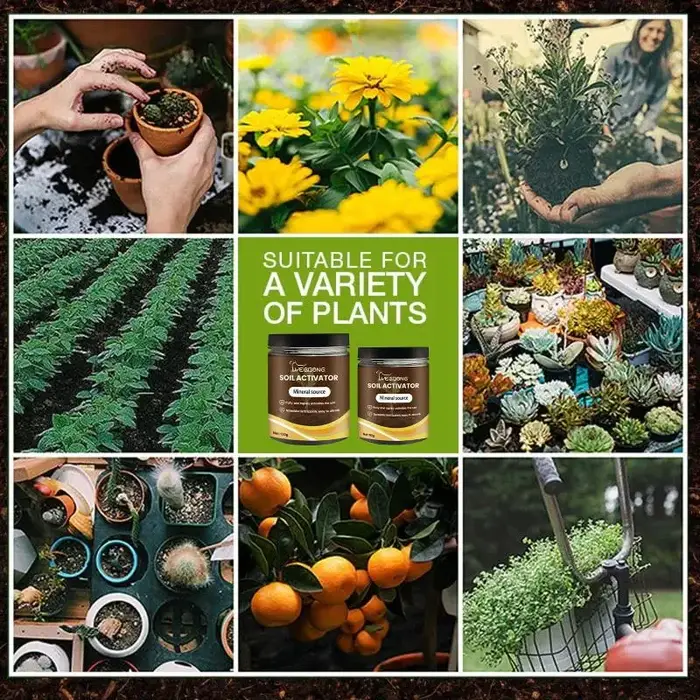Activateur de sol, engrais pour plantes, nutriment organique pour la germination des graines, croissance des racines, essentiel pour le jardinage, pour les plantes d'intérieur et d'extérieur
