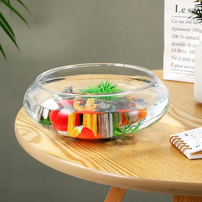 Pot de plante en verre transparent, petit récipient pour plantes d'intérieur et d'extérieur, aquariu