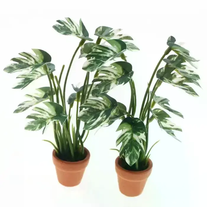 Plante verte Monstera en pot pour maison de poupée 1/12