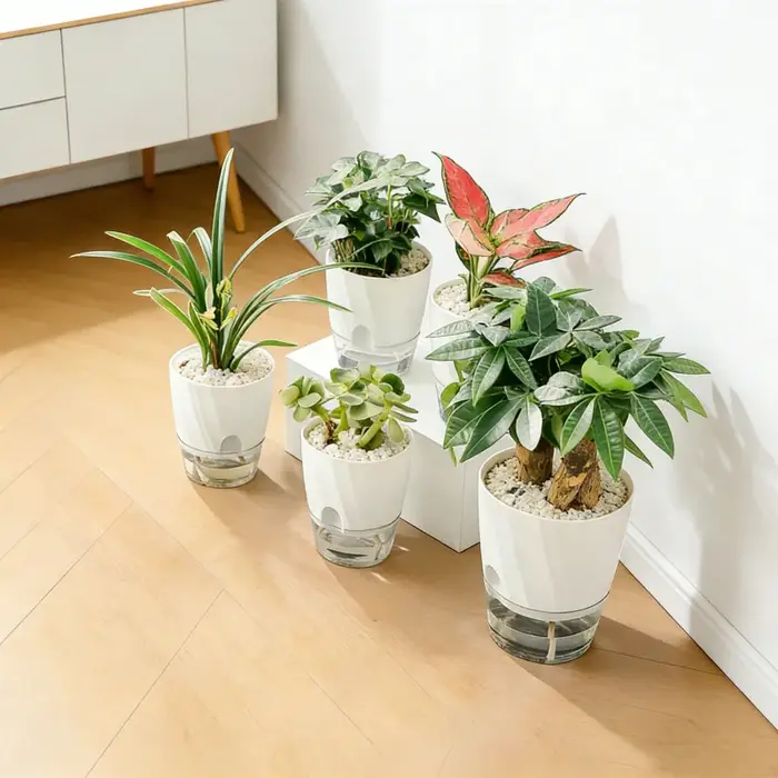 Pot de fleur de radis vert auto-arrosage en plastique Transparent épaissi à usage domestique