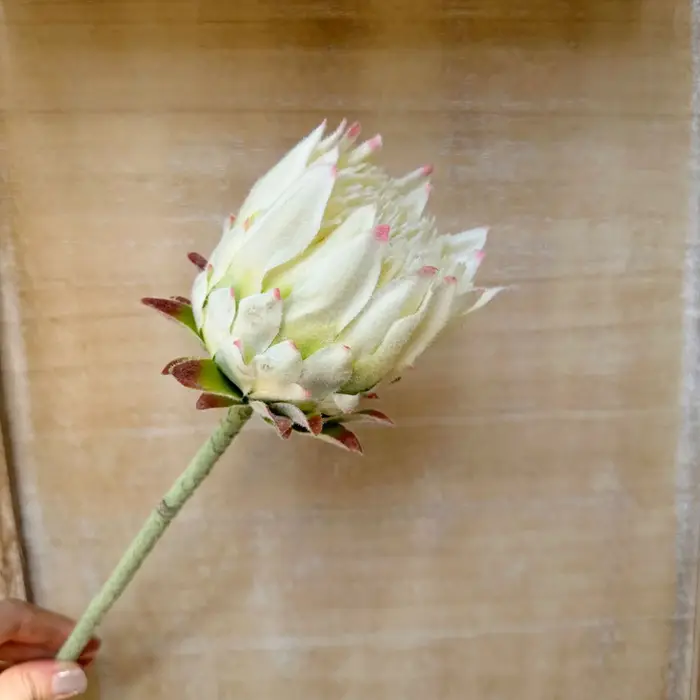 1 pièces 63cm artificiel haut de gamme unique nordique flocage artichaut fleur décoration de la mais