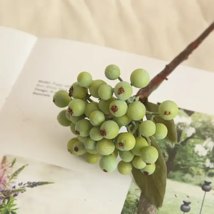Branche de haricot vert pour décoration de maison