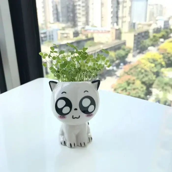 Pot de fleurs en céramique