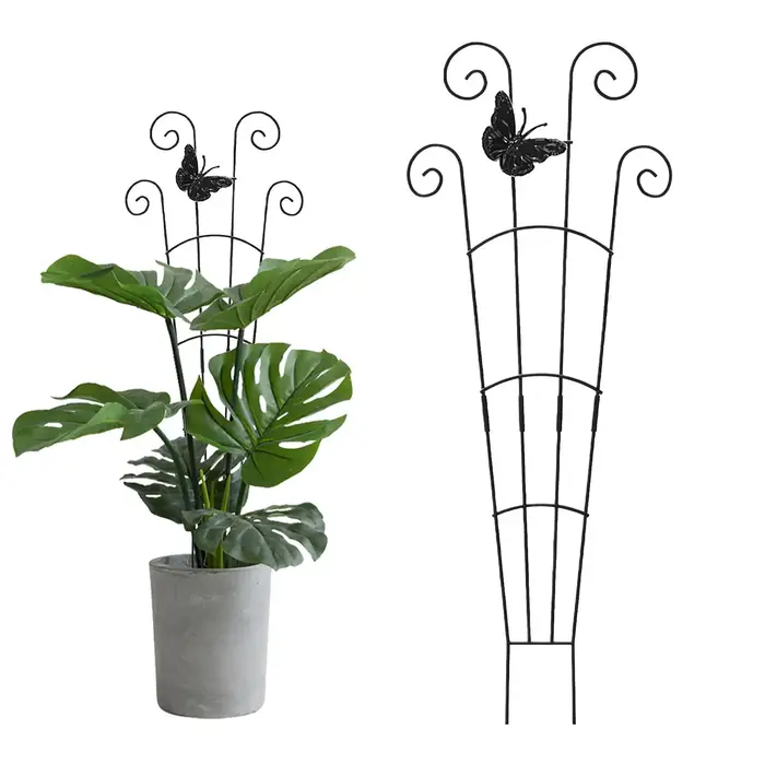 Plante grimpante treillis jardin Support Cages pour fleurs plantes