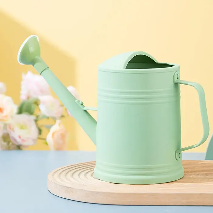 Arrosoir pour plantes, arrosoir pour fleurs, décoratif, 2L, léger, à long bec, arrosoir pour plantes d'intérieur, pour la maison