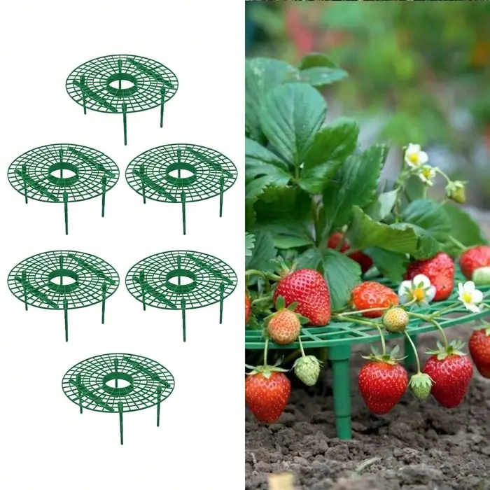Supports pour plantes de fraises, grande taille, 6 pièces, supports de culture de fraises, cadre de