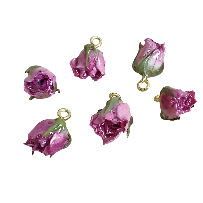 Aqumotic fleurs séchées pour pendentif en résine vraies petites Roses pour l'artisanat pour la fabrication de bijoux décodène crème 10 pièces décorations