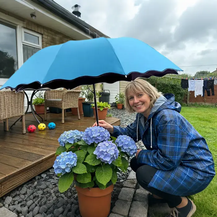 Parasol pour plantes avec piquet métallique