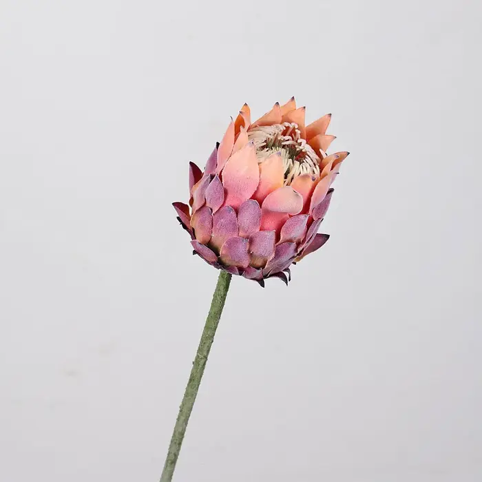 27,5 pouces artificielle roi Protea fleur chardon nordique fausse fleur Bouquet mariage décor à la m