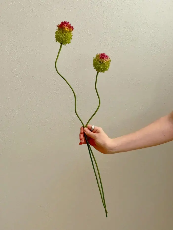 2 pièces d'alliums artificiels à 2 têtes, fleurs de pissenlit au toucher réel, 27,8 pouces, petites 